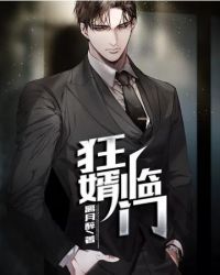 狂婿如龙萧天宇
